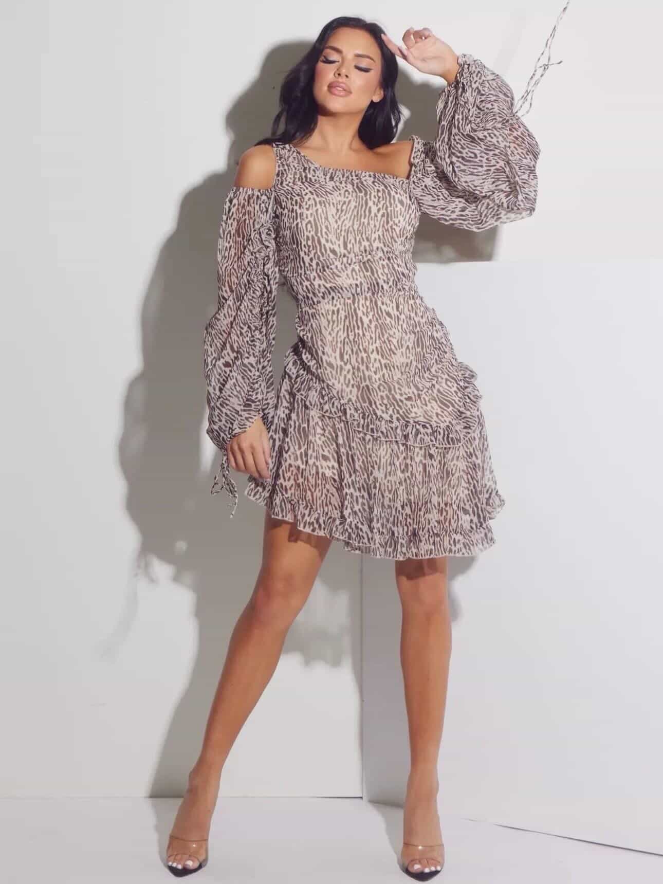 Chiffon Animal Print Mini Dress